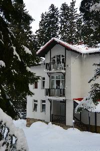 Вила Елена