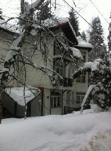 Вила Елена, Боровец