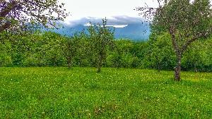 Вила Петра