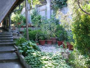 Вила Климат, Варна